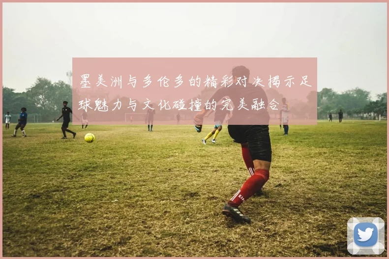 墨美洲与多伦多的精彩对决揭示足球魅力与文化碰撞的完美融合