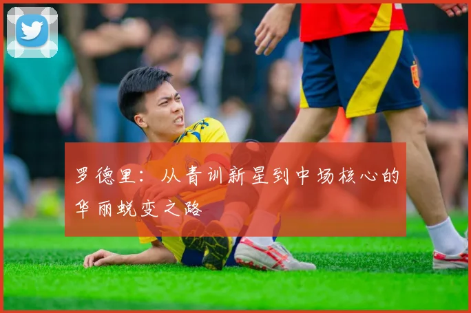 罗德里：从青训新星到中场核心的华丽蜕变之路