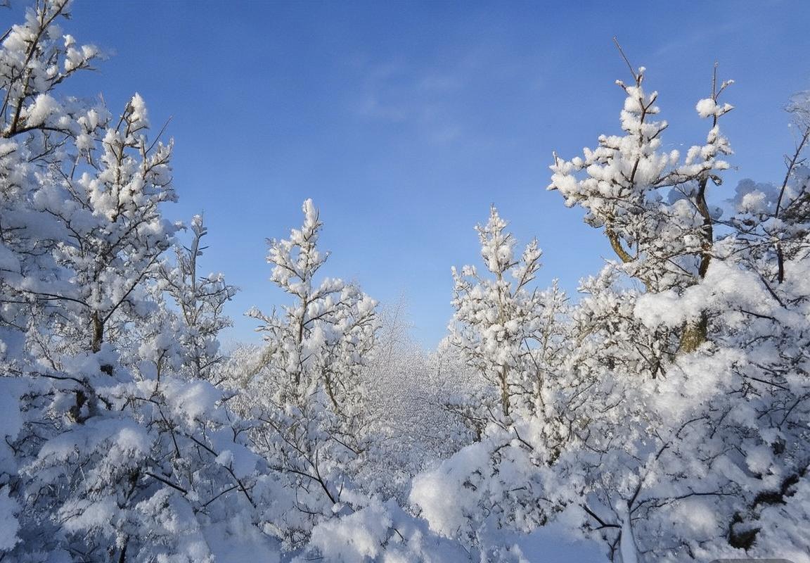 爱尔兰足球队激战强敌：焦点战胜利展望未来(图2)