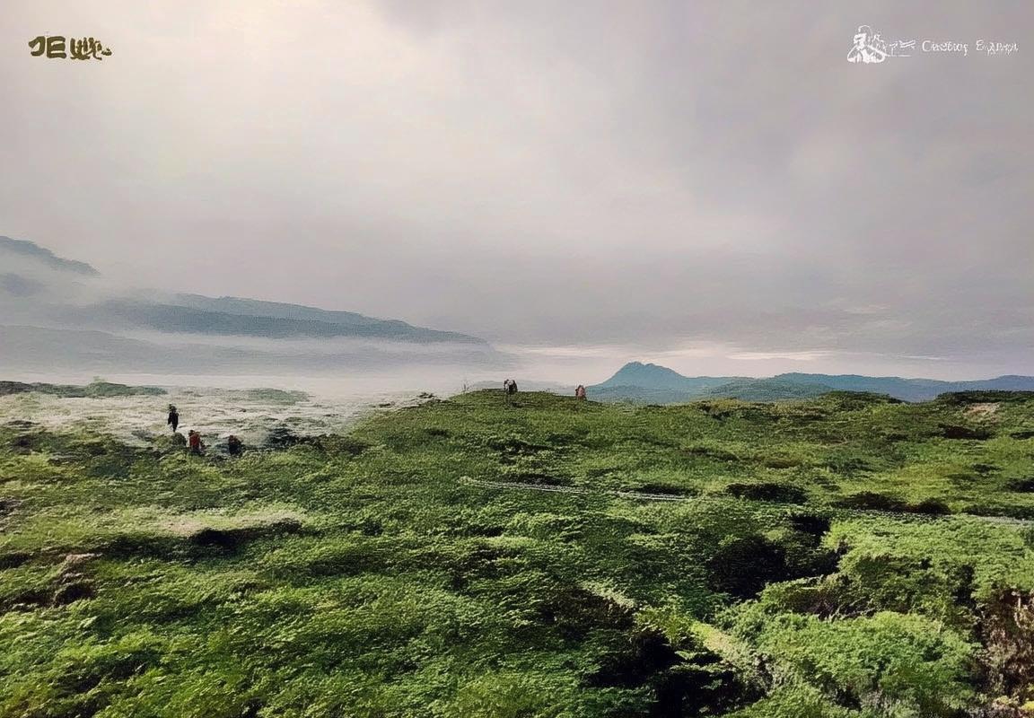 中国篮球联赛巅峰对决：福建VS山西精彩瞬间回顾(图2)